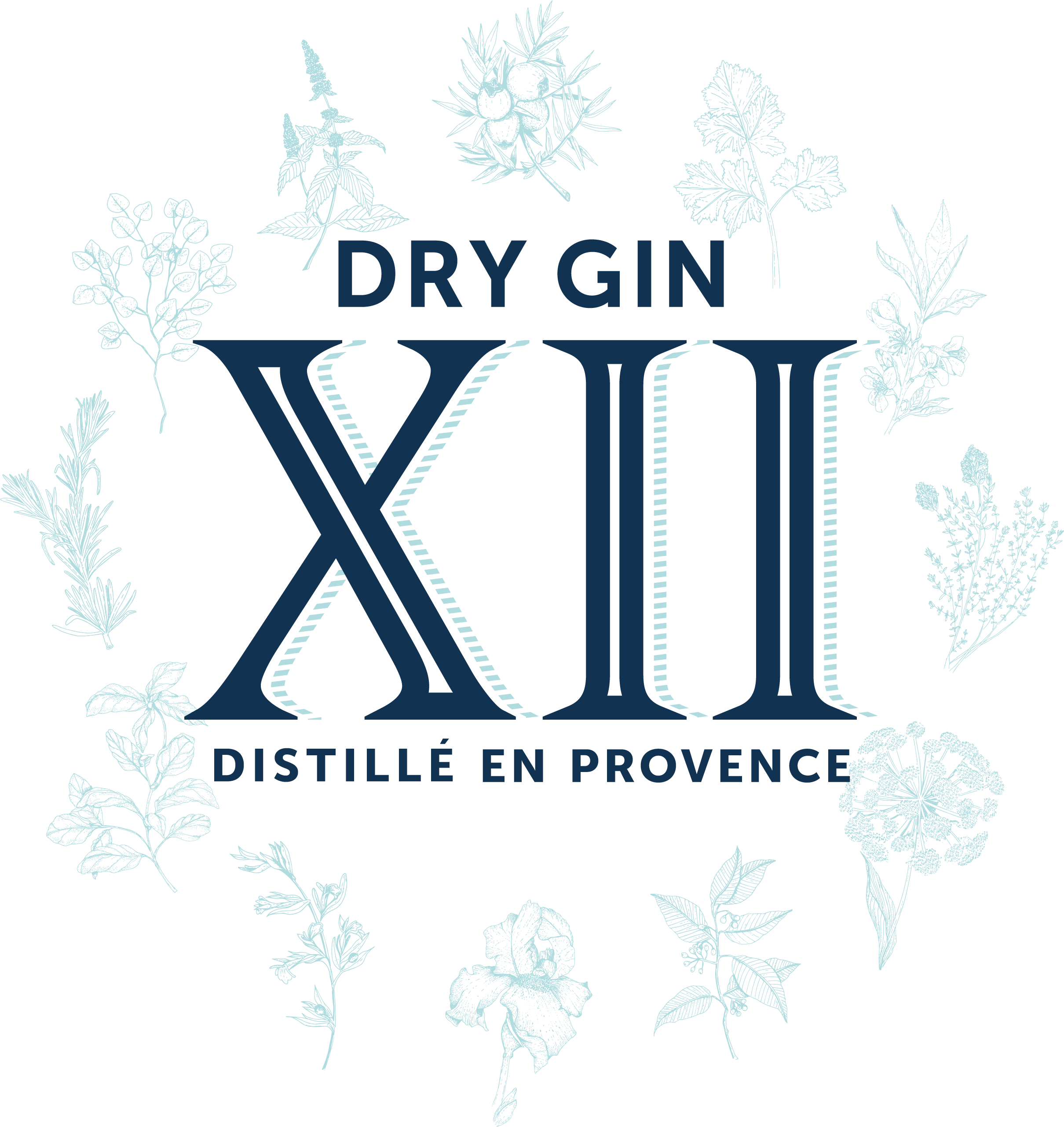 Gin XII